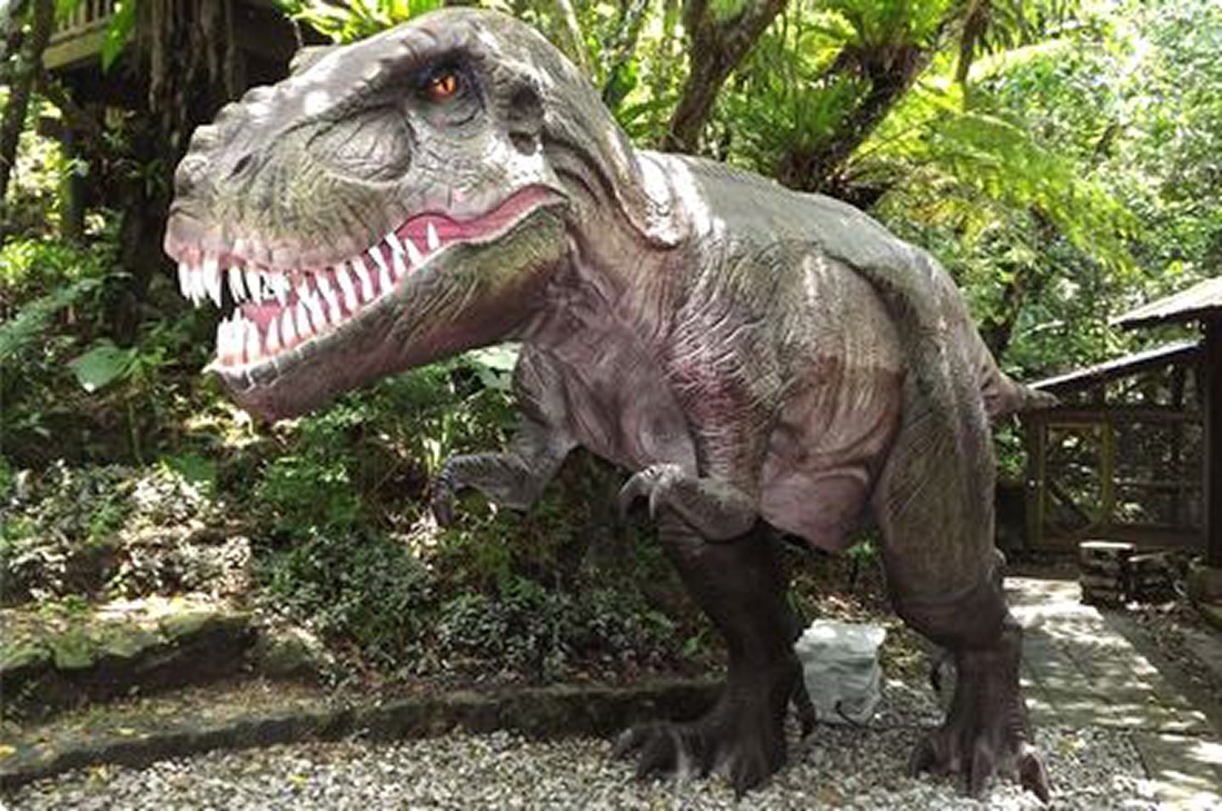 【100円割引】御菓子御殿 名護店 「DINO恐竜PARK やんばる亜熱帯の森」「沖縄歴史民族資料館」